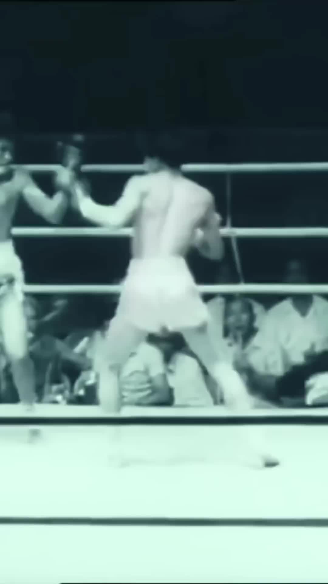 @Fightxgram