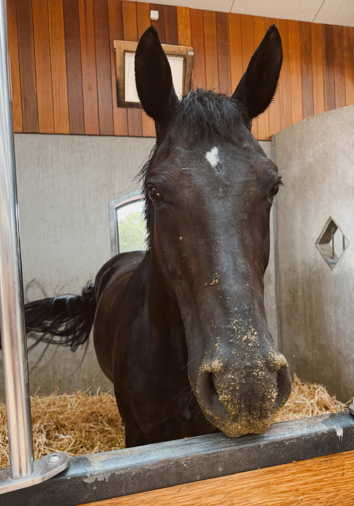 @fmnschothorses