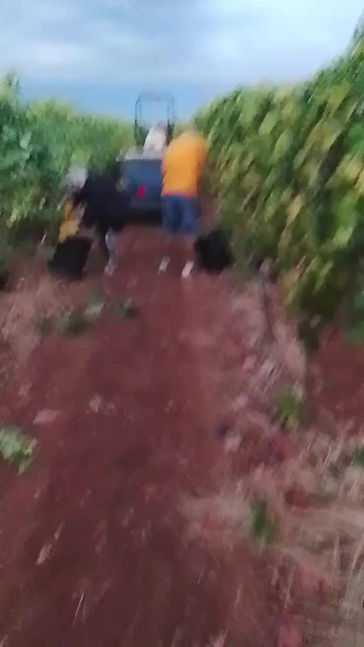 @Massimovita Pompigna