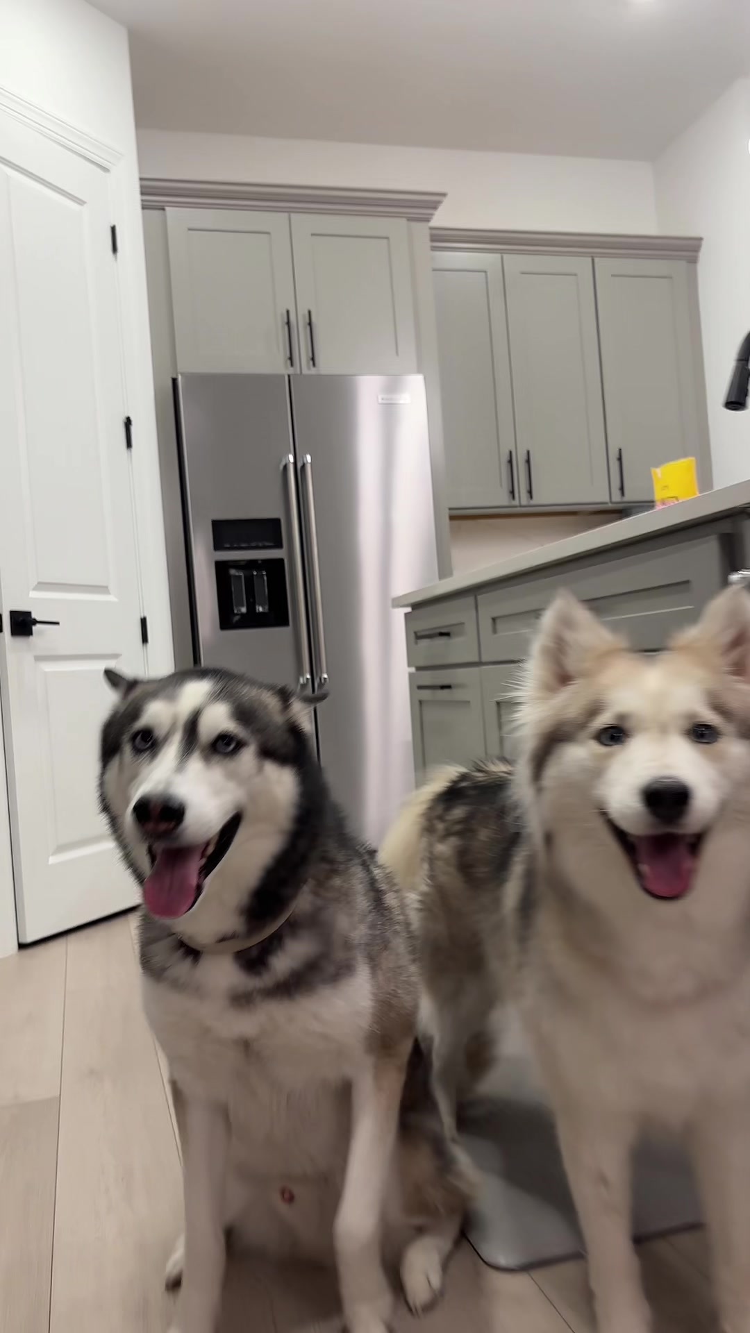 @lifewith2huskies