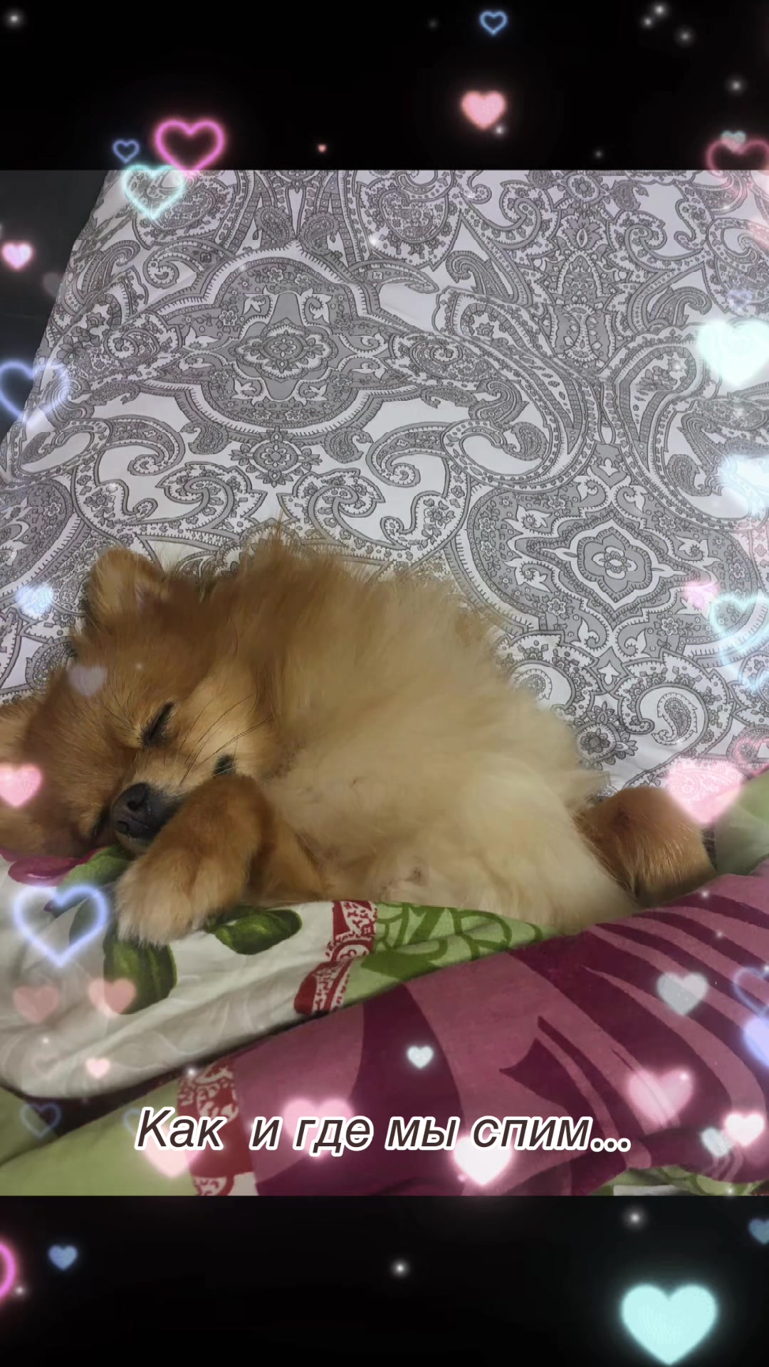 @Ирина Чижова