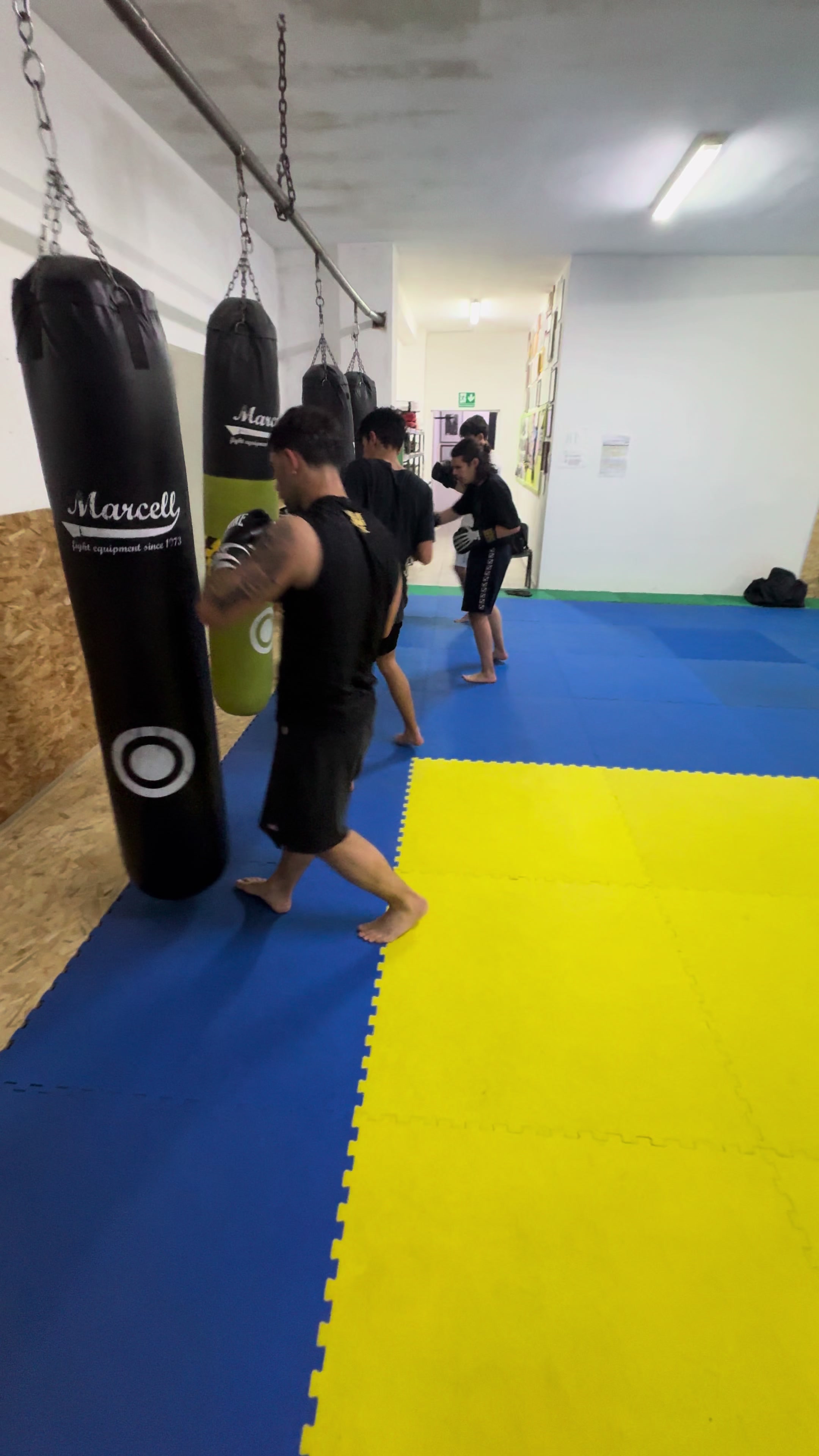@Gianfranco Ponte Trainer