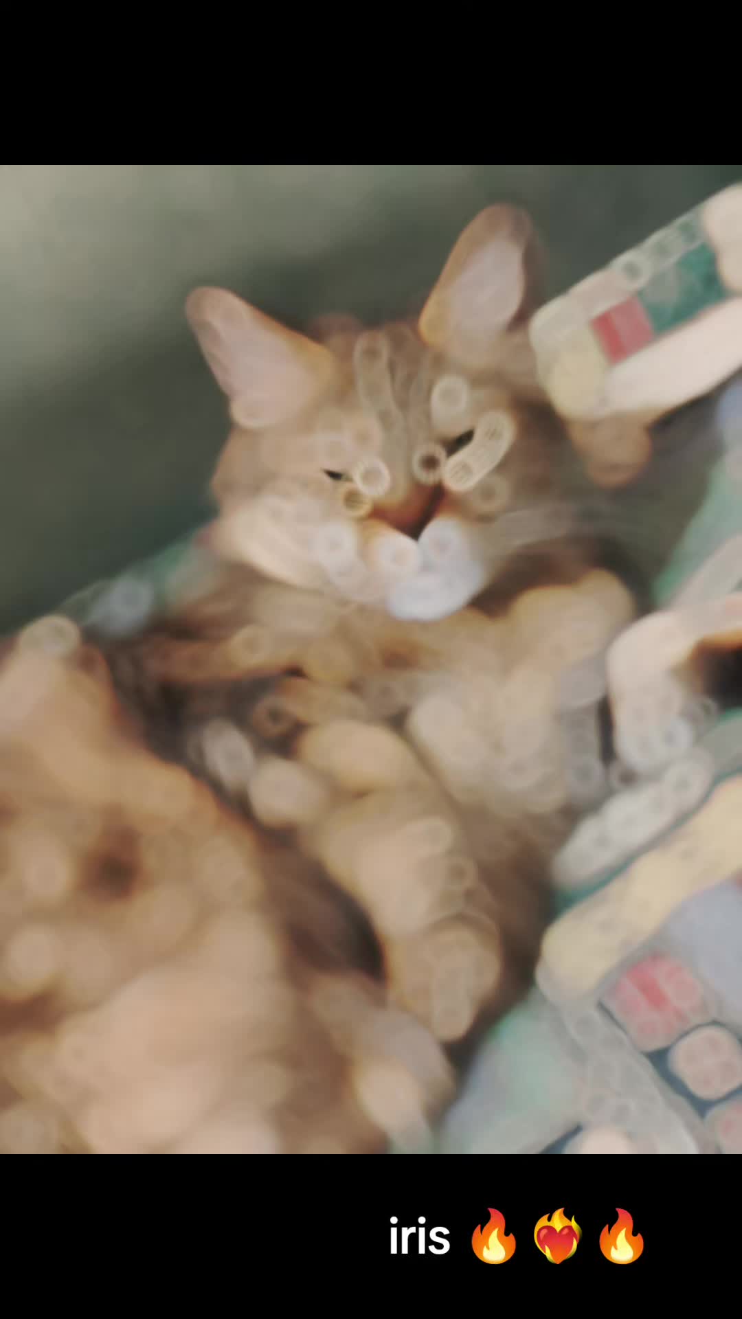 @๐ฅ โค๏ธ๐ฅ๐ฅ Samanta ๐ฅโค๏ธ๐ฅ๐ฅ
