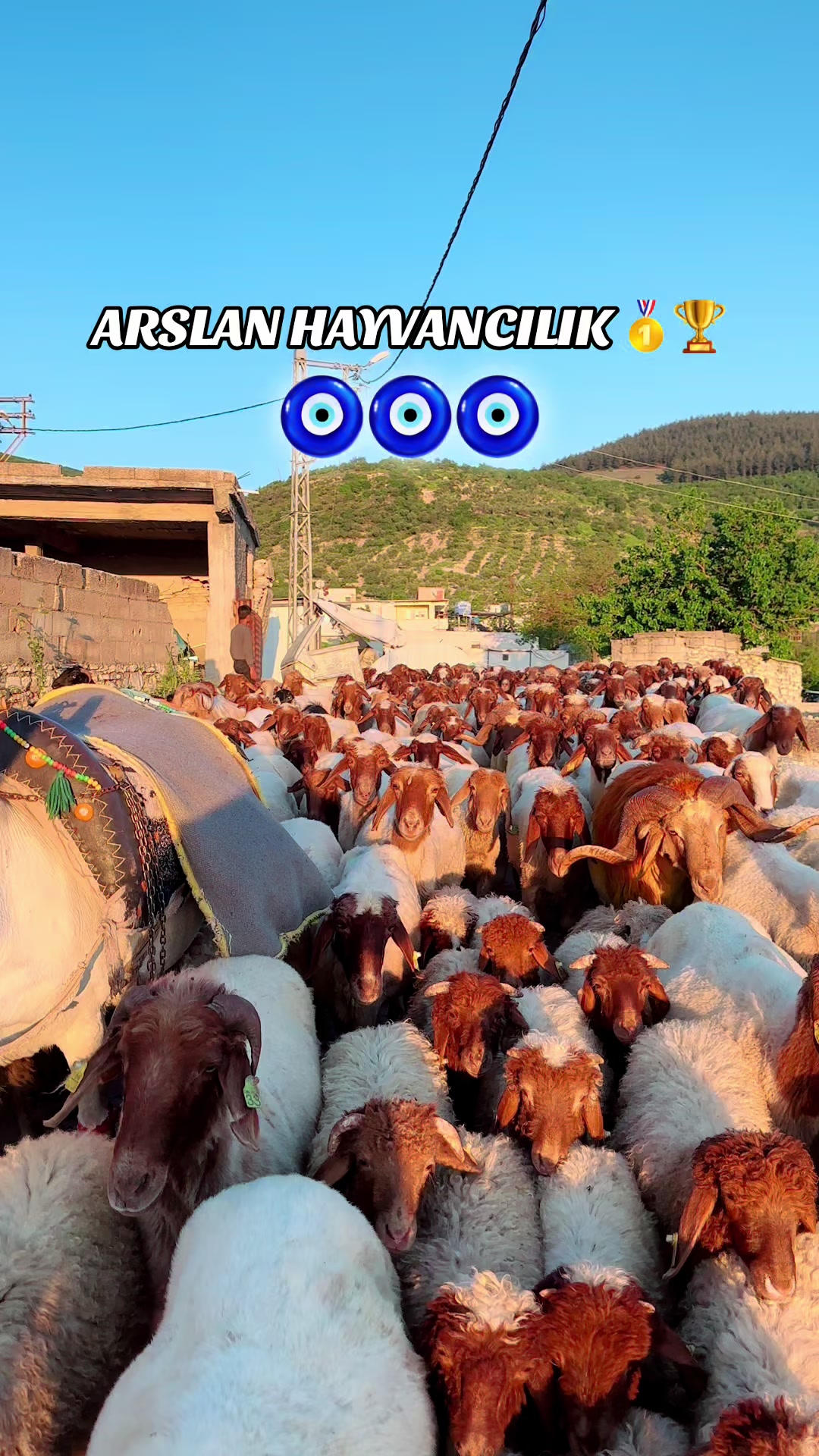 @cuma_arslan027