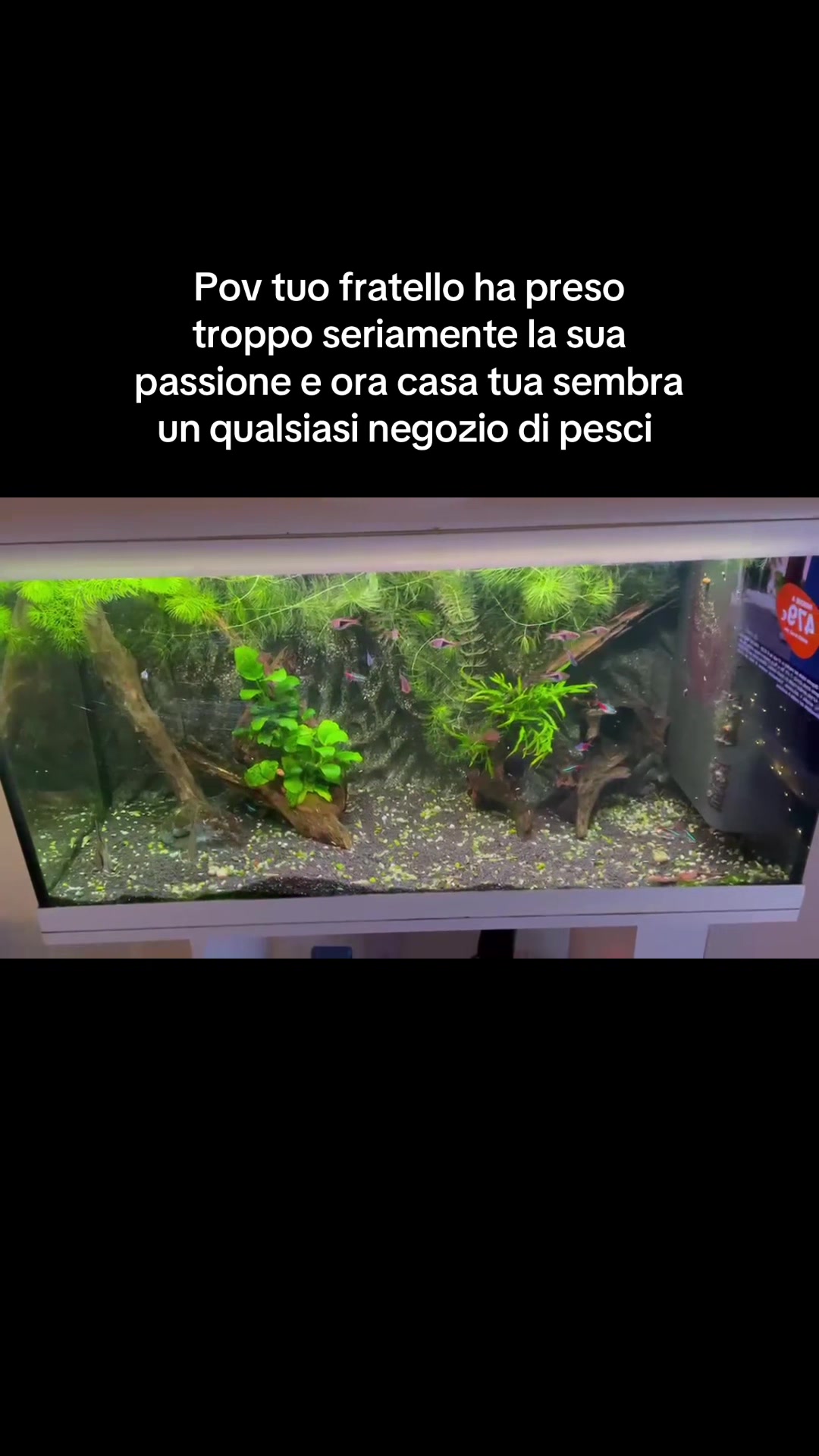 @saranotturnoo
