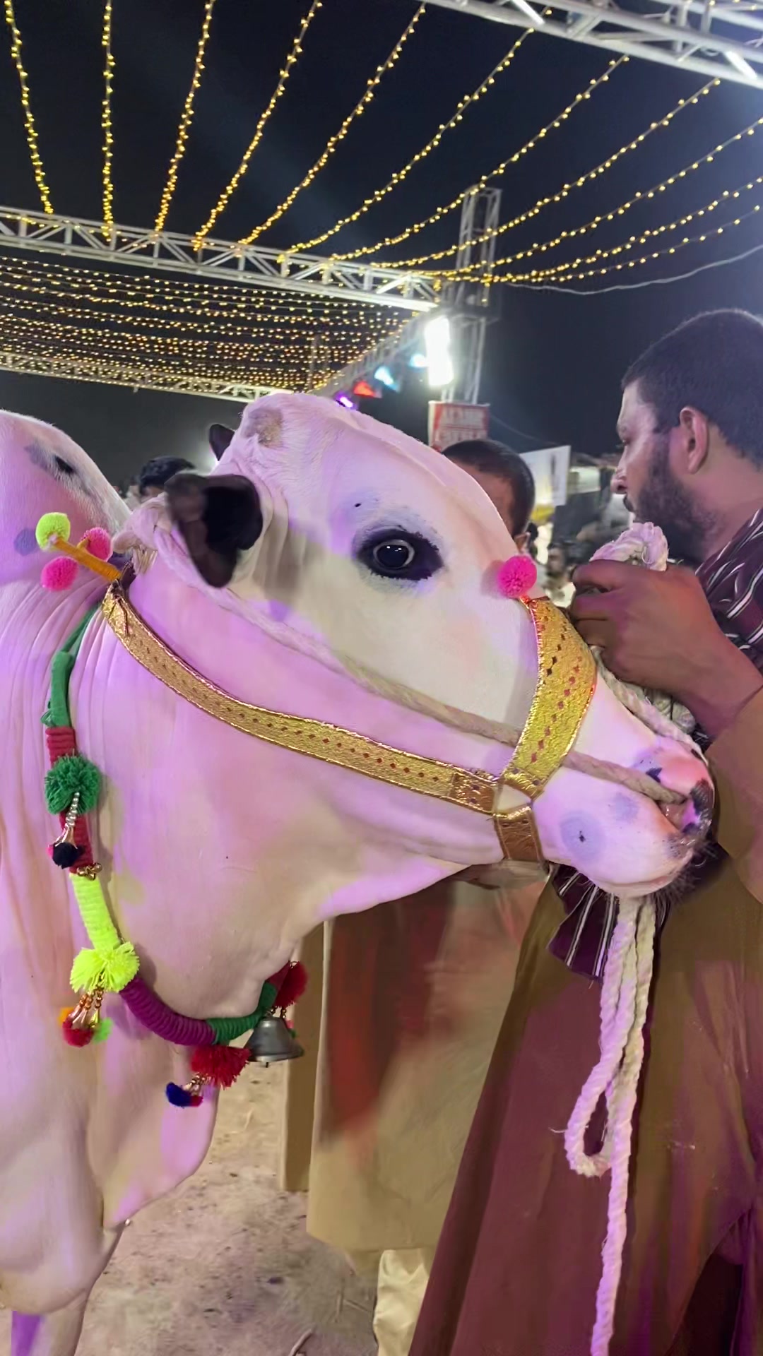 @Khanzada Tanzeel Kha