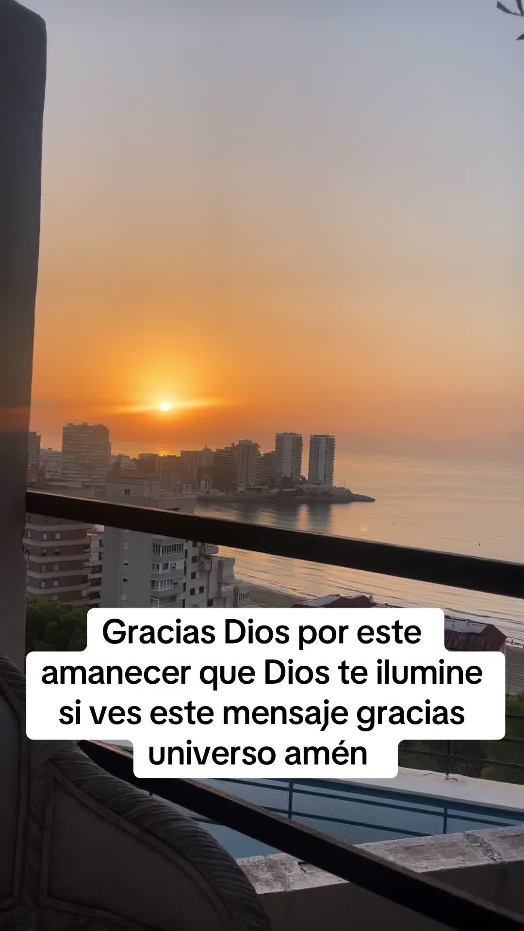 @Carmen Tomás 13
