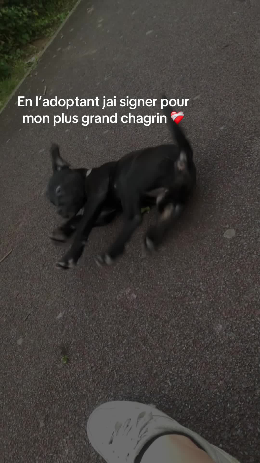 @les.aventures.de.naya
