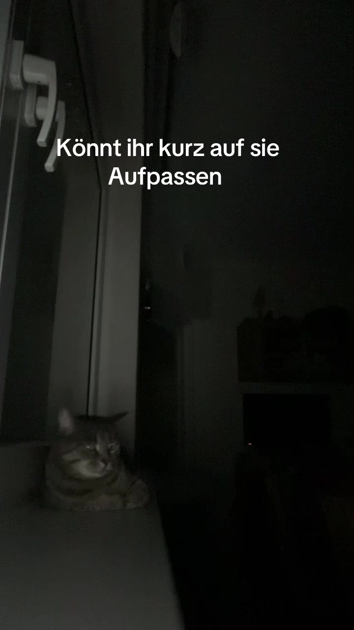 @milenaberlin1