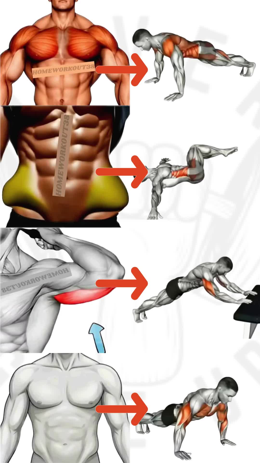 @HOMEWORKOUT