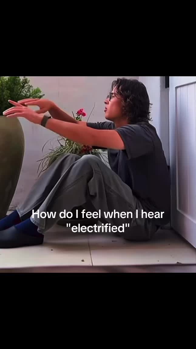 @zosiadavidsversion