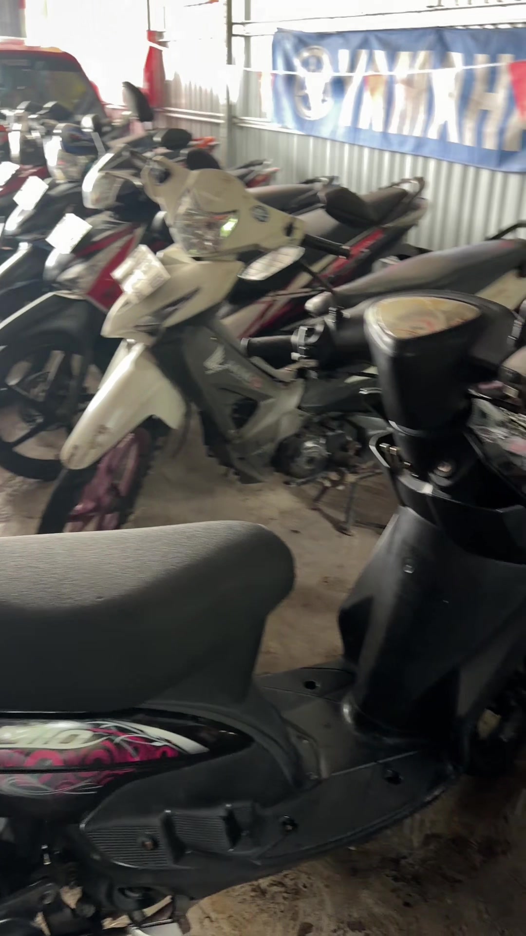 @pengepulmotortim