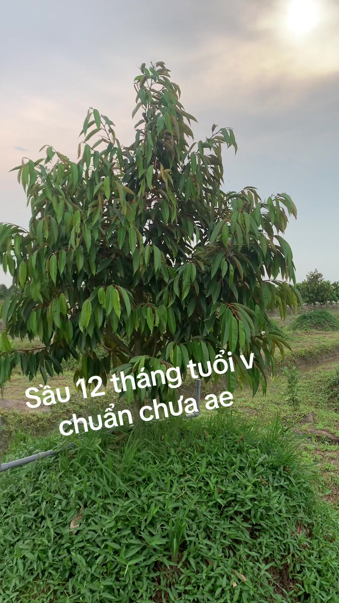 @👻👻