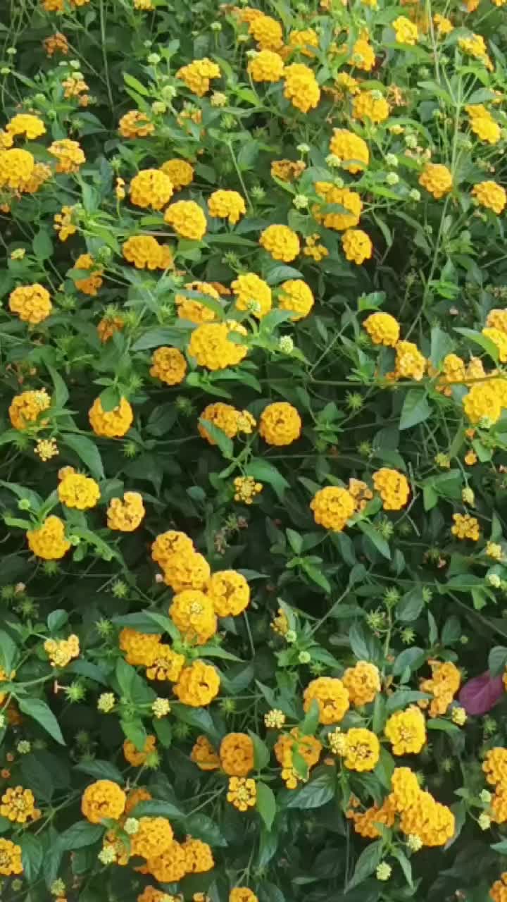 @Alexandra99