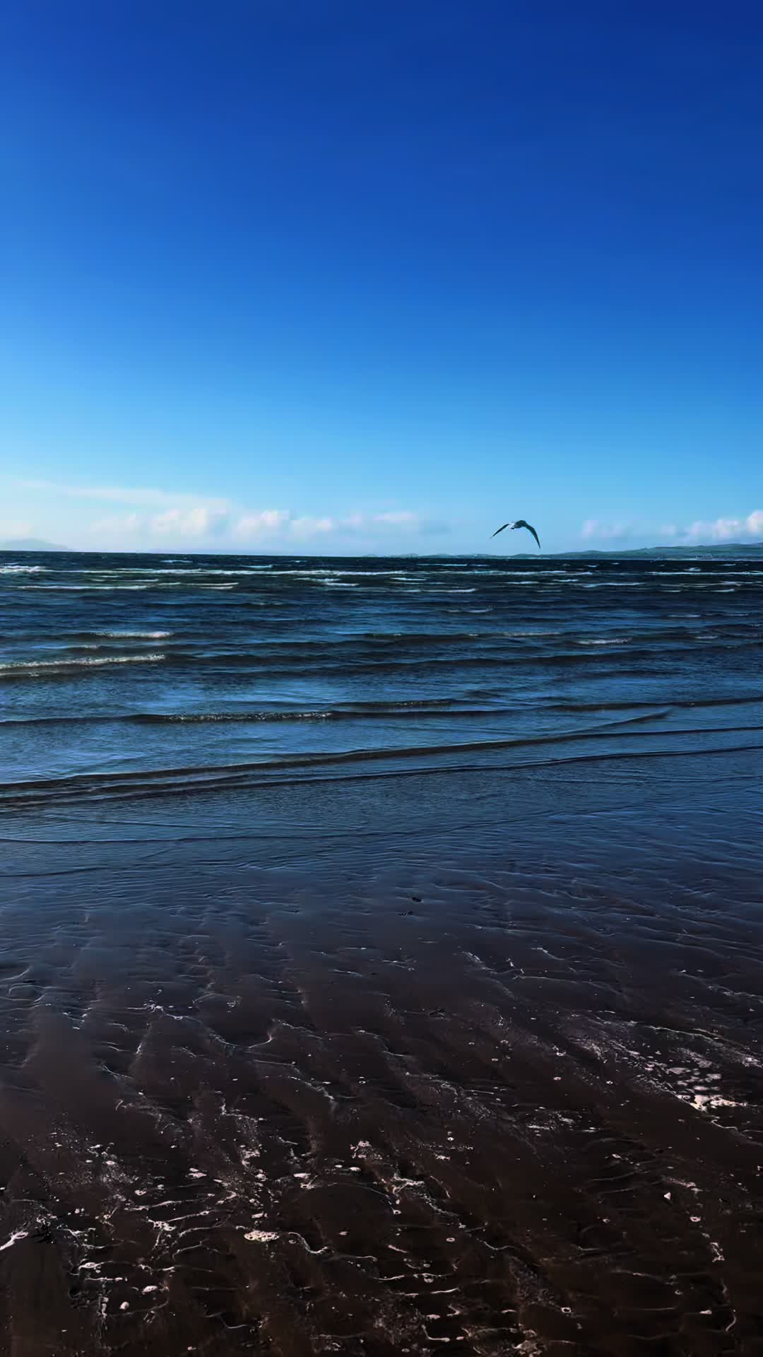 @amanda173000