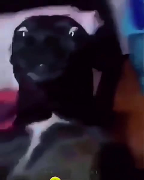 @7Mo