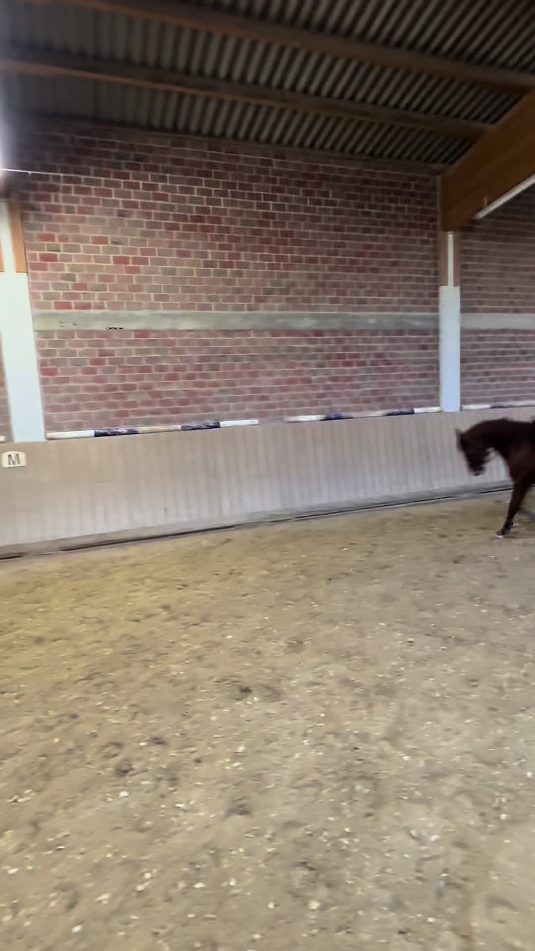 @lea_ponyeventing