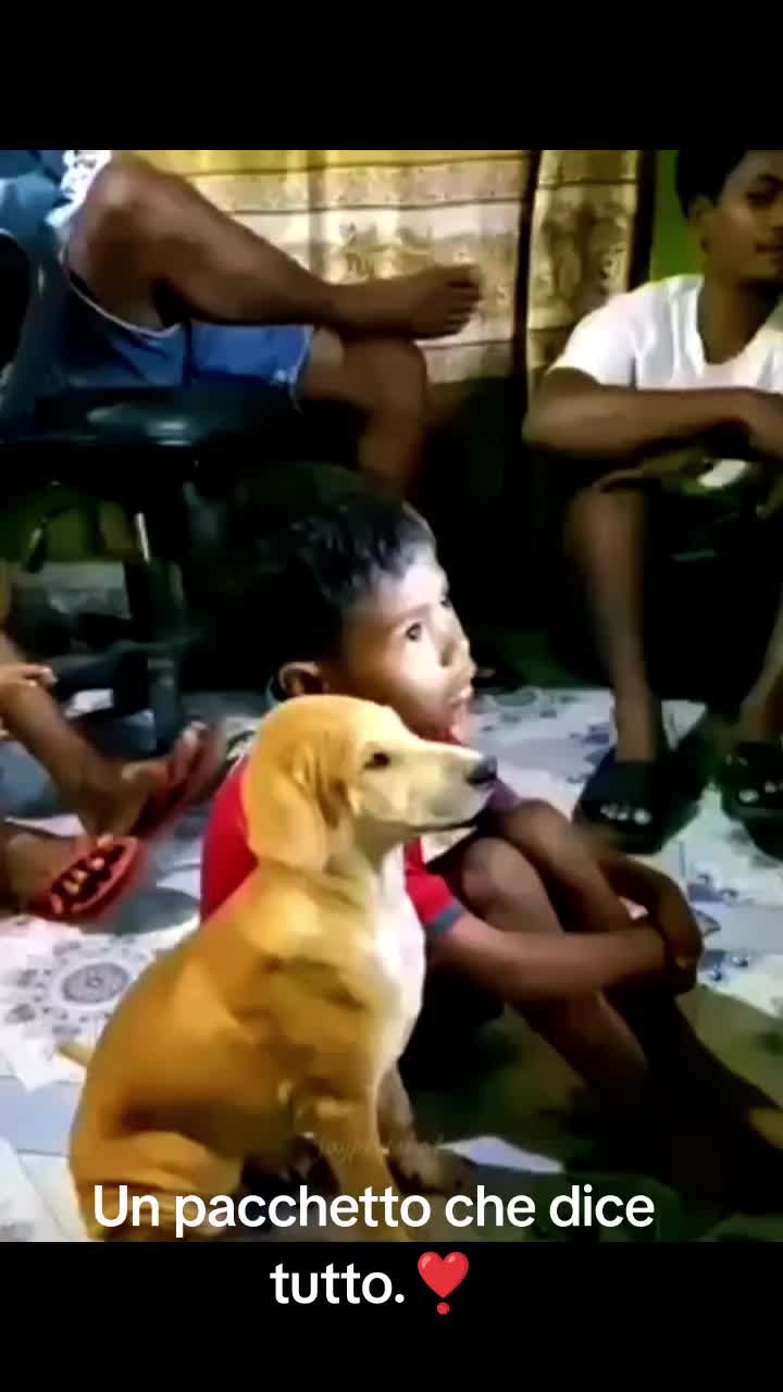 @cuore.animale