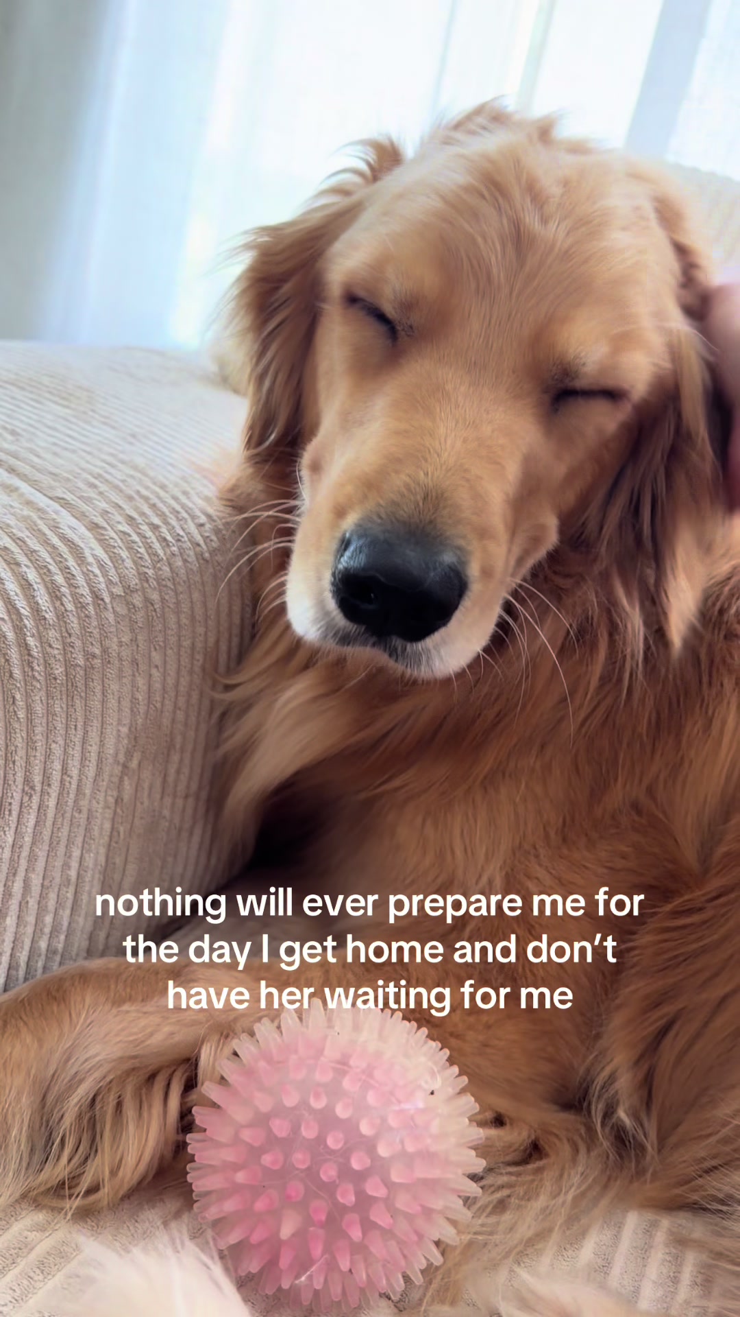 @novathegoldenn