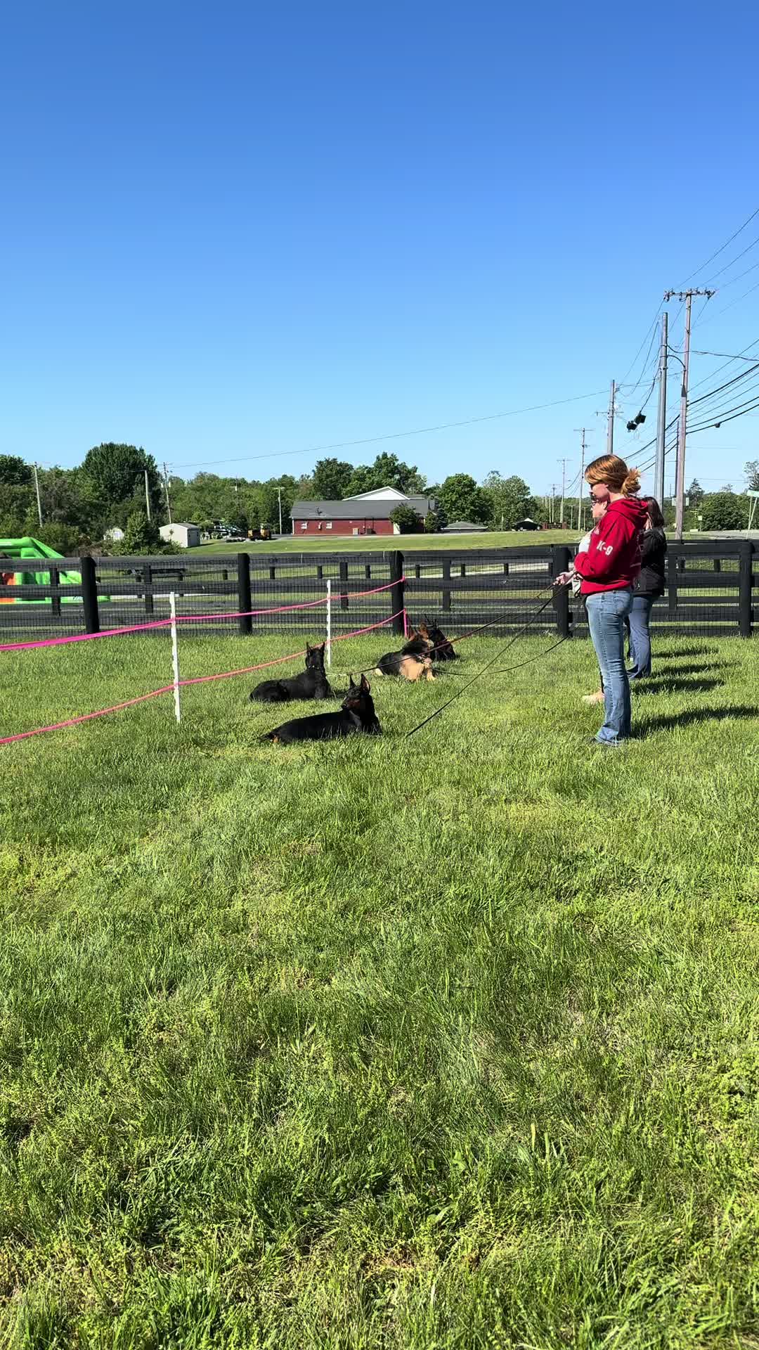 @Protection Dog Sales