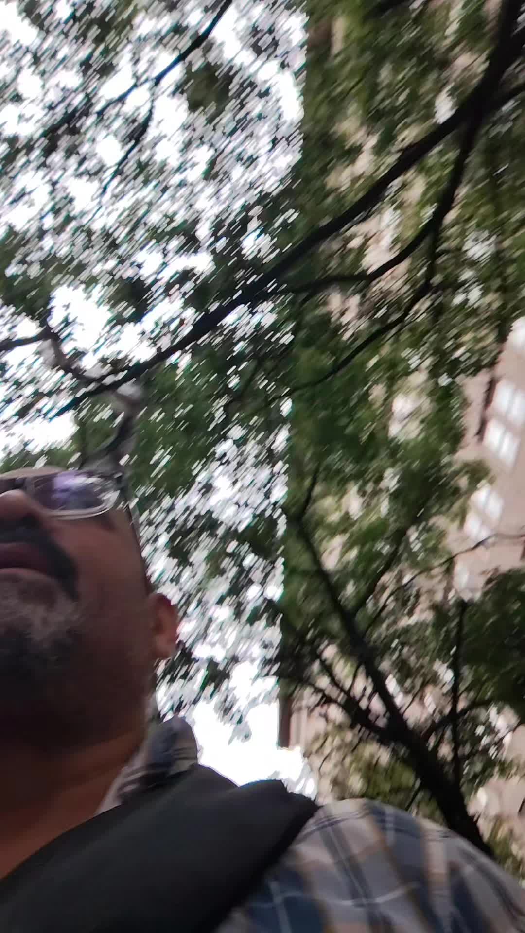 @thetruewalkoftheway