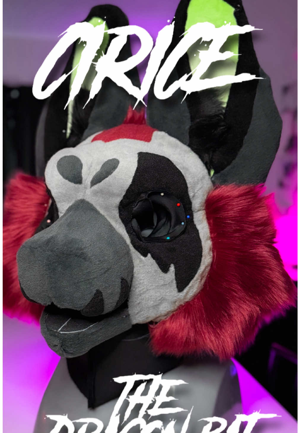@FruitbatFursuits > ANW