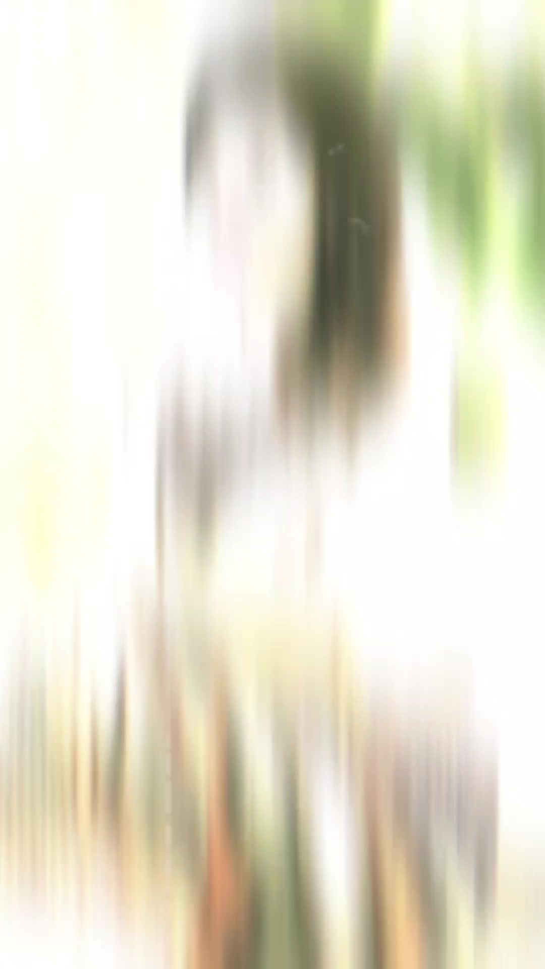 @꧁Ĥțôñôkâ࿐꧂