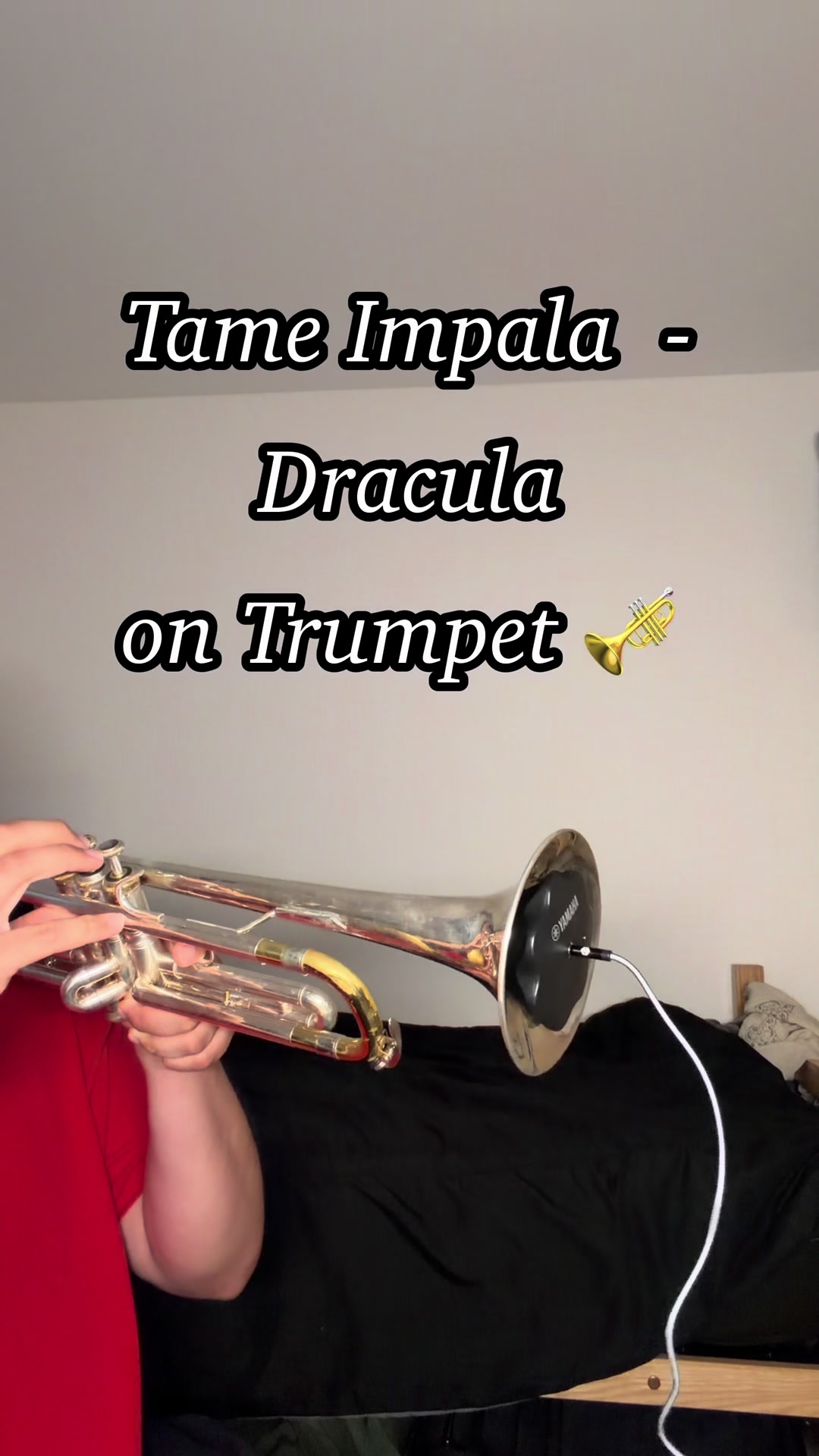 @mexicantrumpetboy