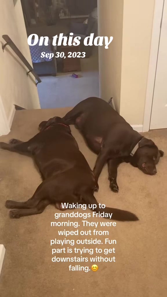 @Beyond Old__Bill77