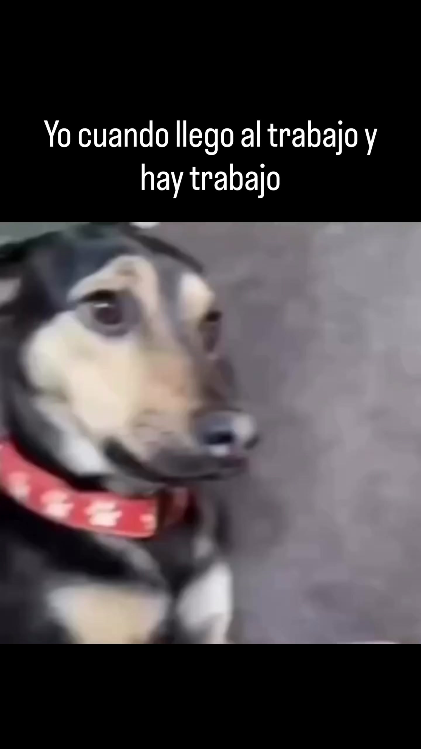 @houseismyparadise