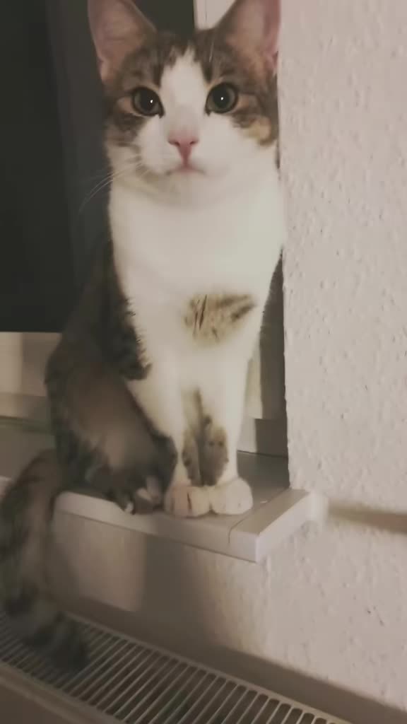 @Minnoş❤💙61