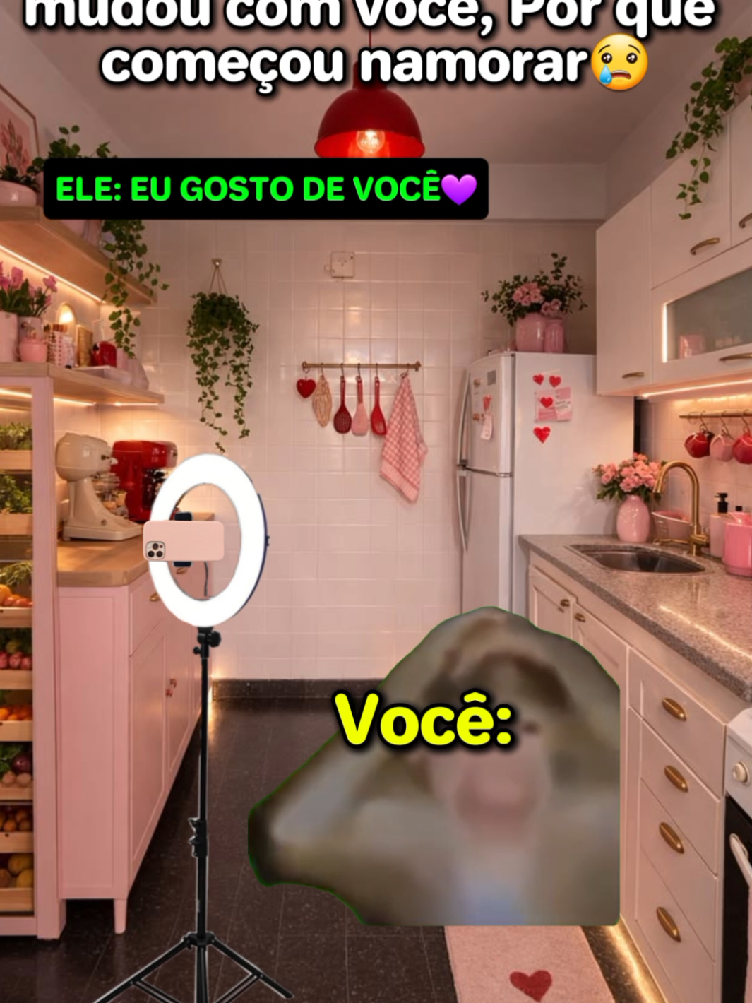 @Gatuxo Dos Povs Ofc