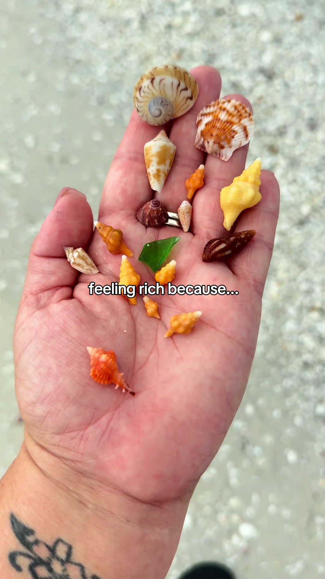 @🌺🐚🌴SarahMay🌴🐚🌺