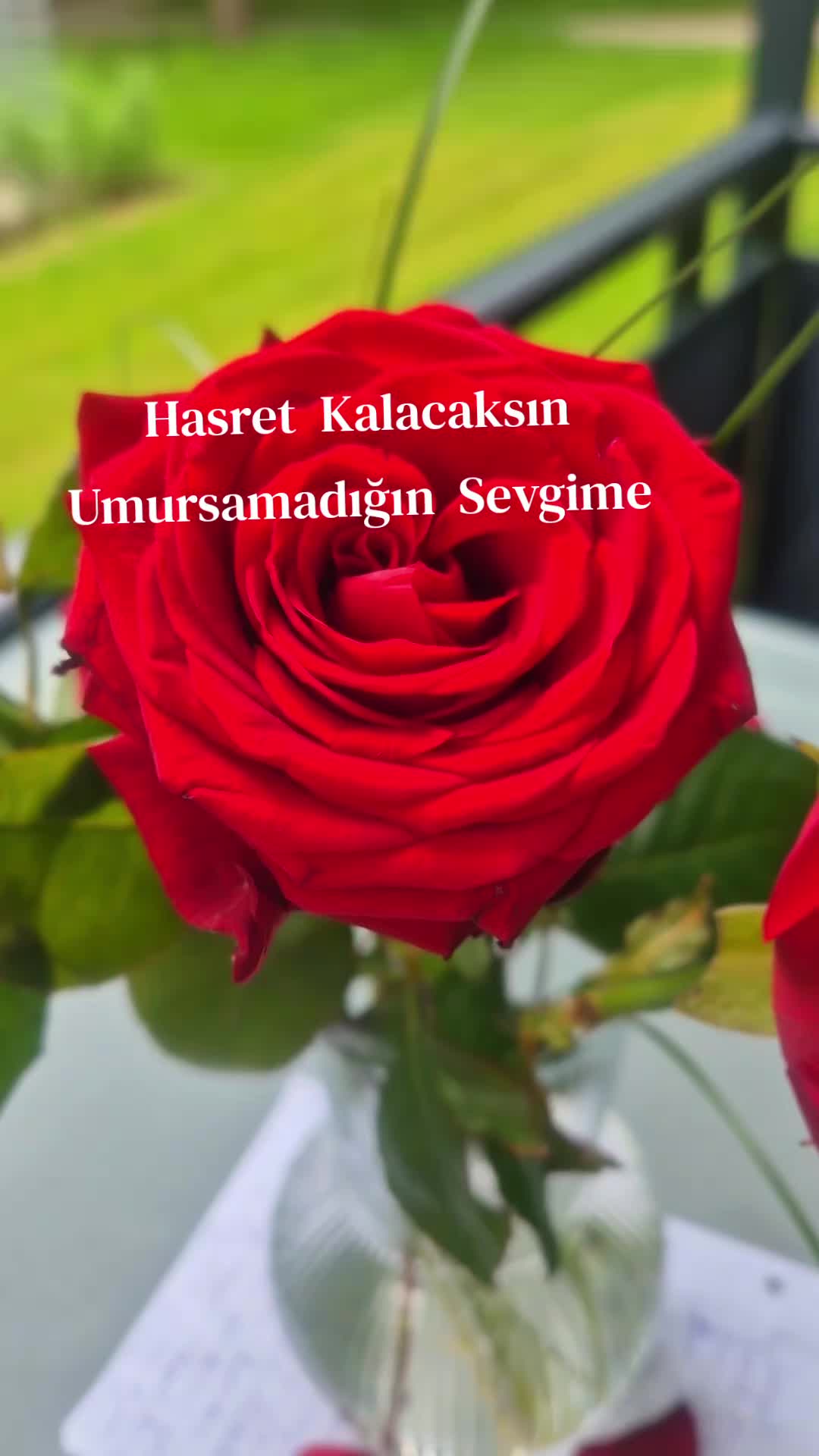 @SİBEL AY
