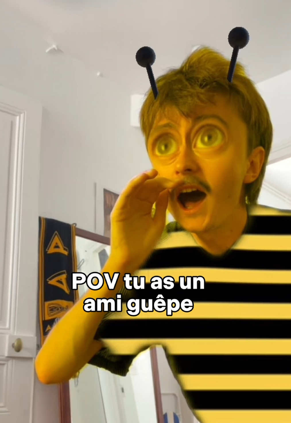 @matthiasletrocquer