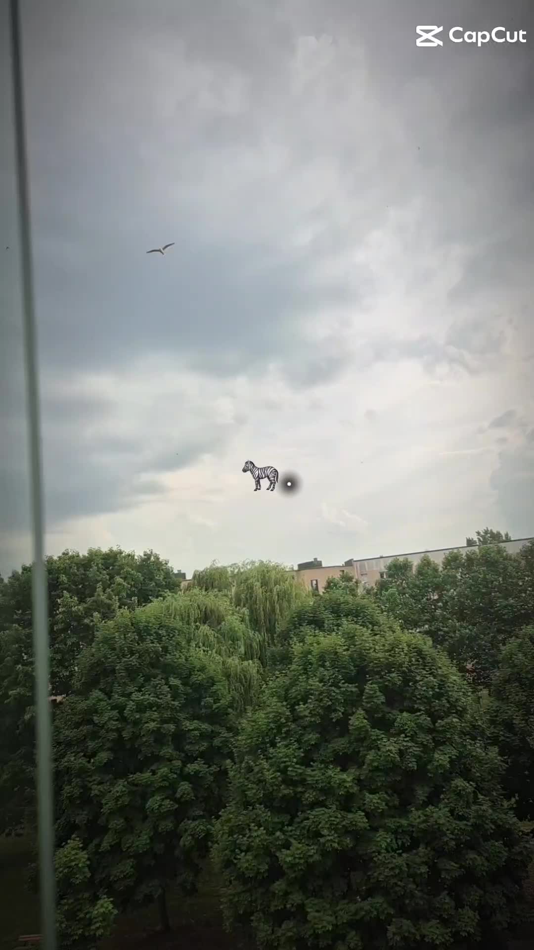 @ꨄ︎