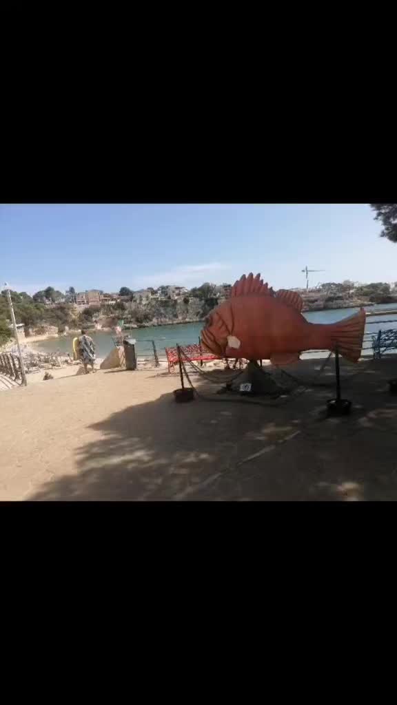 @messimedinamayorca😻🏝️🇪🇸⚓