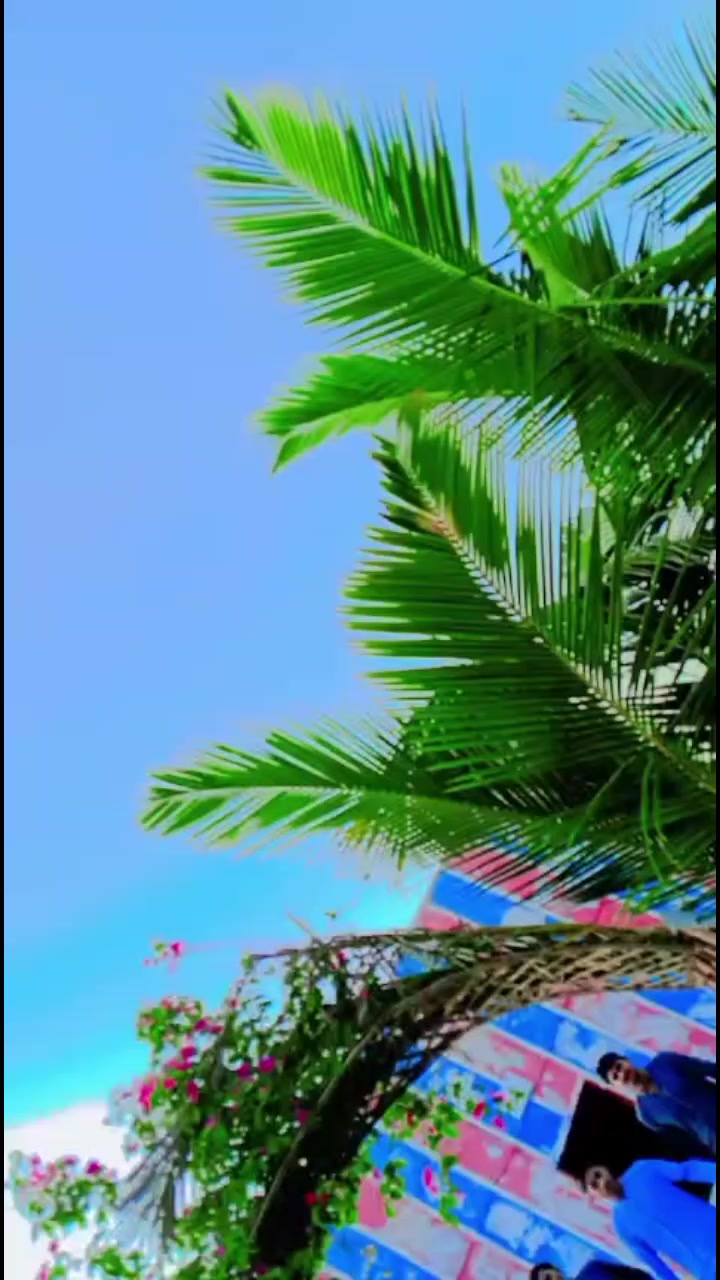 @narain Kumar Makwana