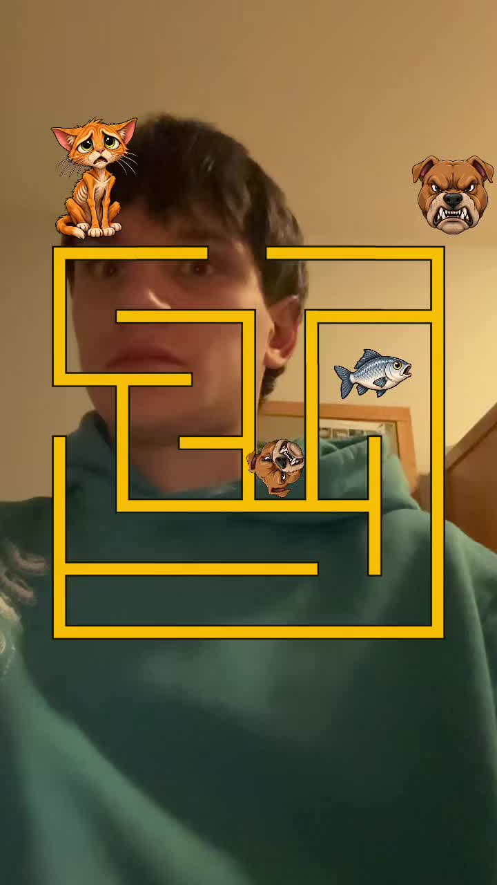 @Hufflepuffof2022