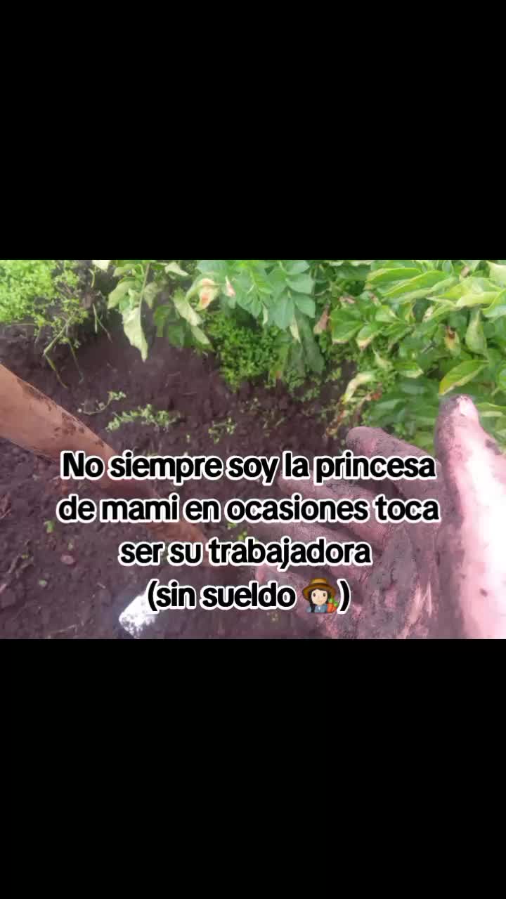 @Y-olii 🫧