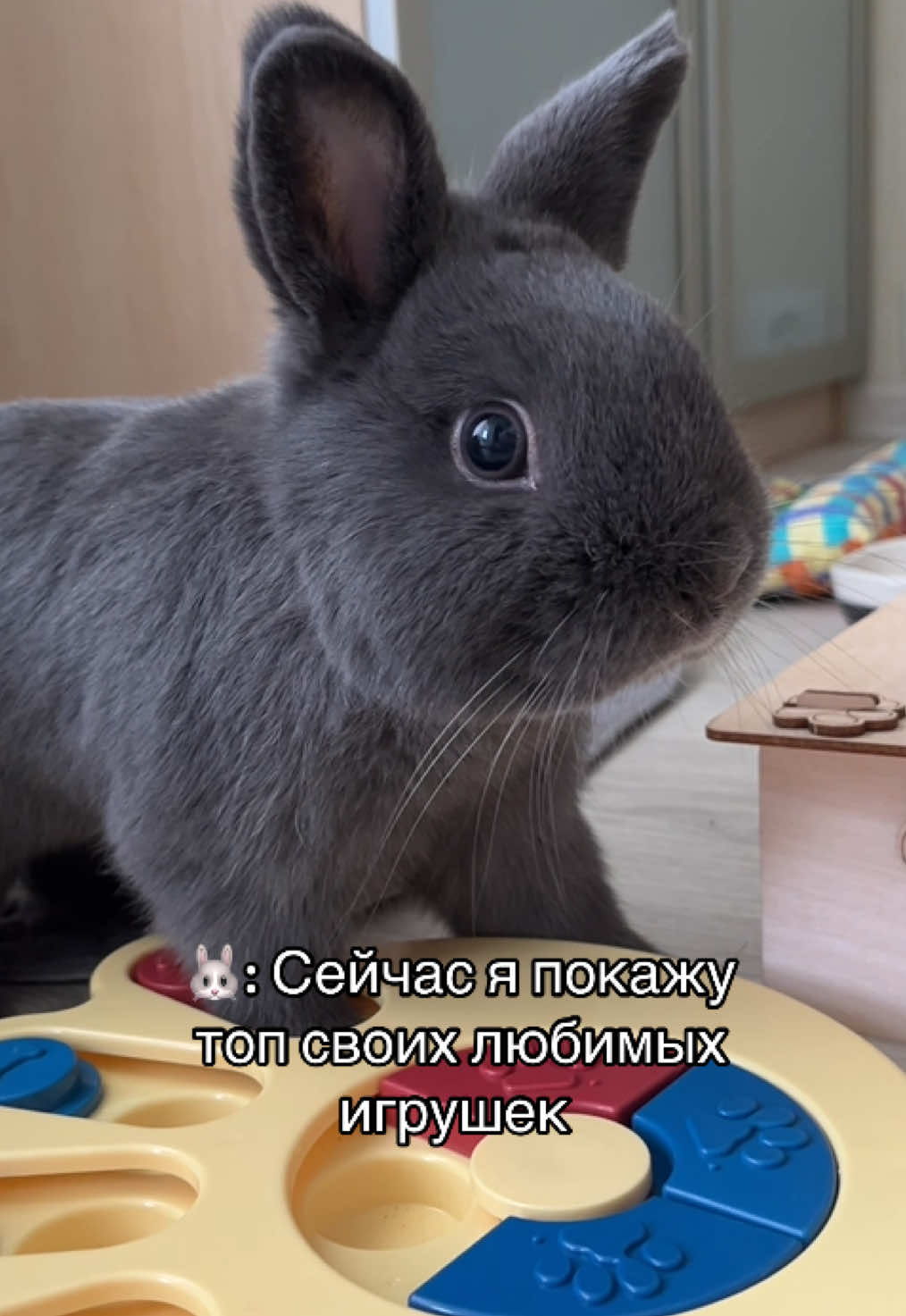 @Пусик