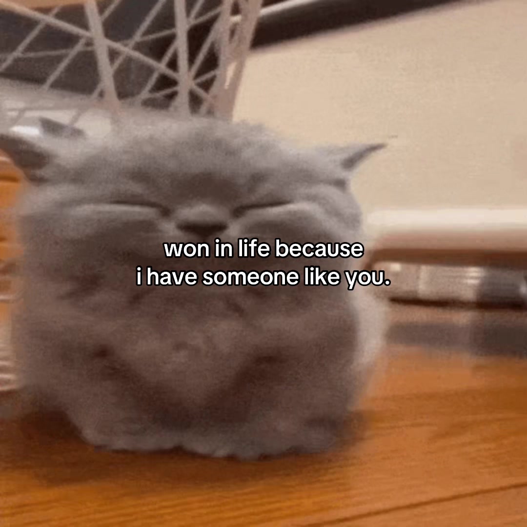 @Alice.cattok