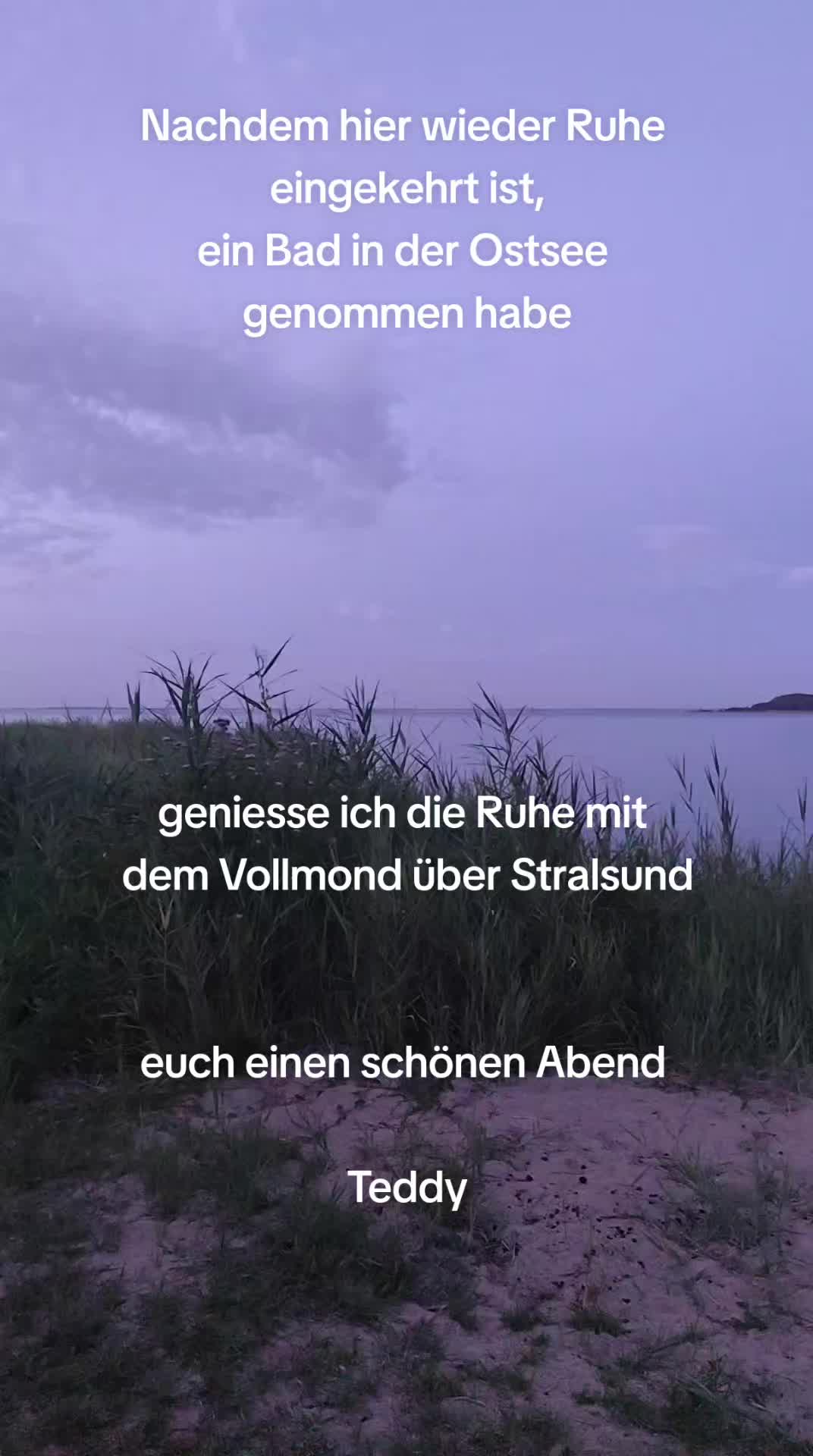 @teddy. diddi