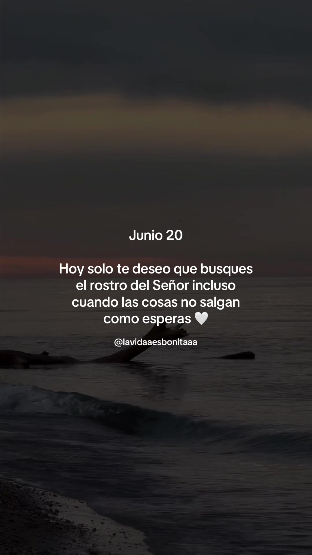 @vidabonita❤️&zwj;🩹