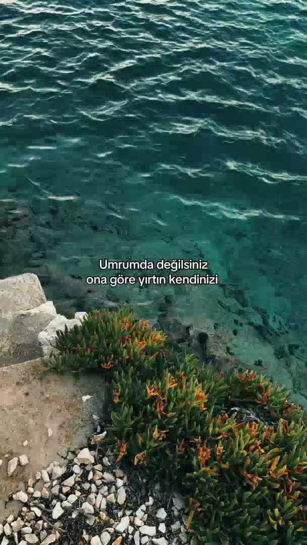 @꧁༺ÖZLEMİM༻꧂