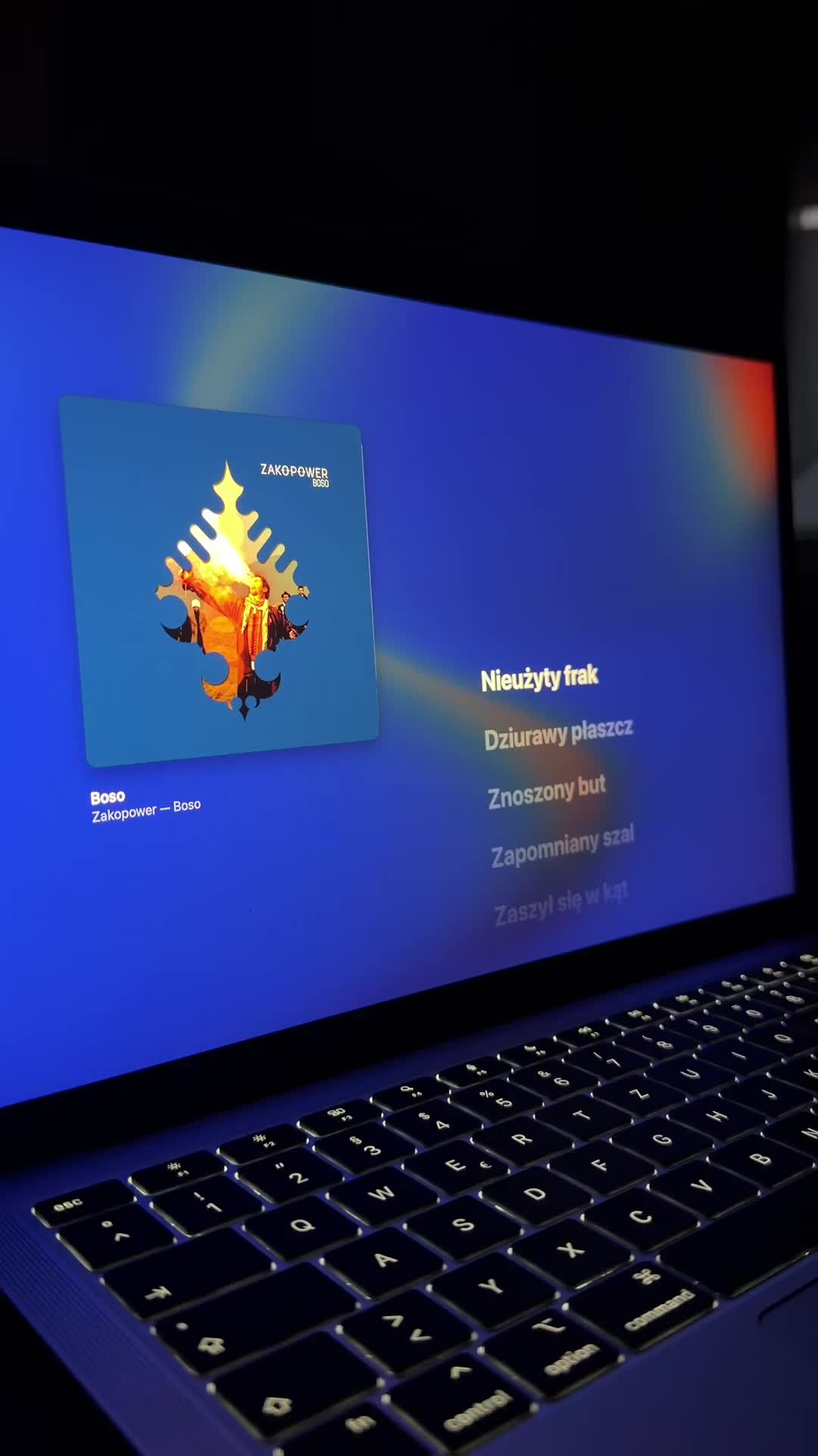 @polisch vibesongs