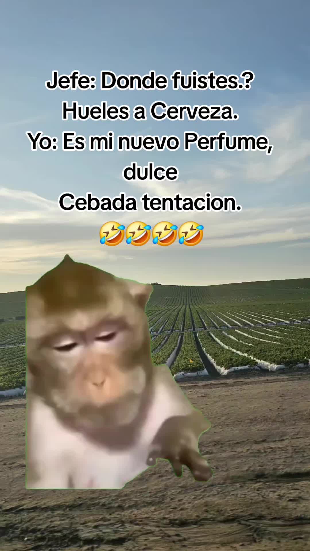 @🇲🇽🐦&zwj;⬛🪺VASQUEZ🚚🌪💎