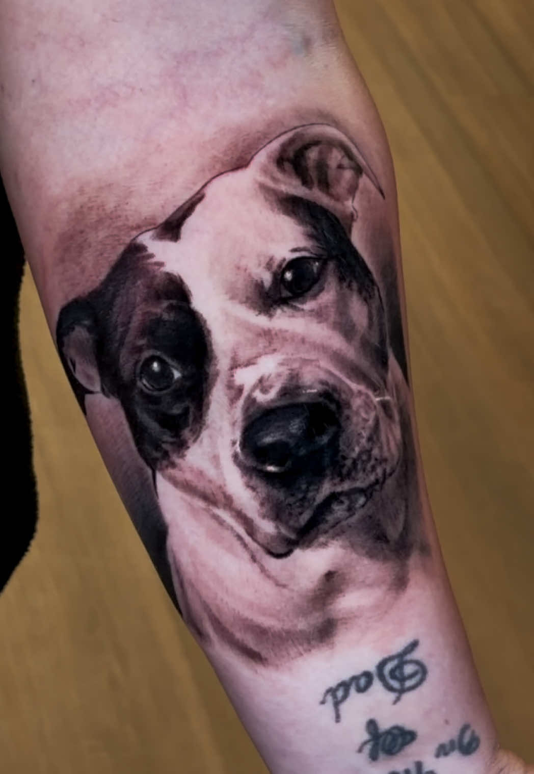 @bcolemanink