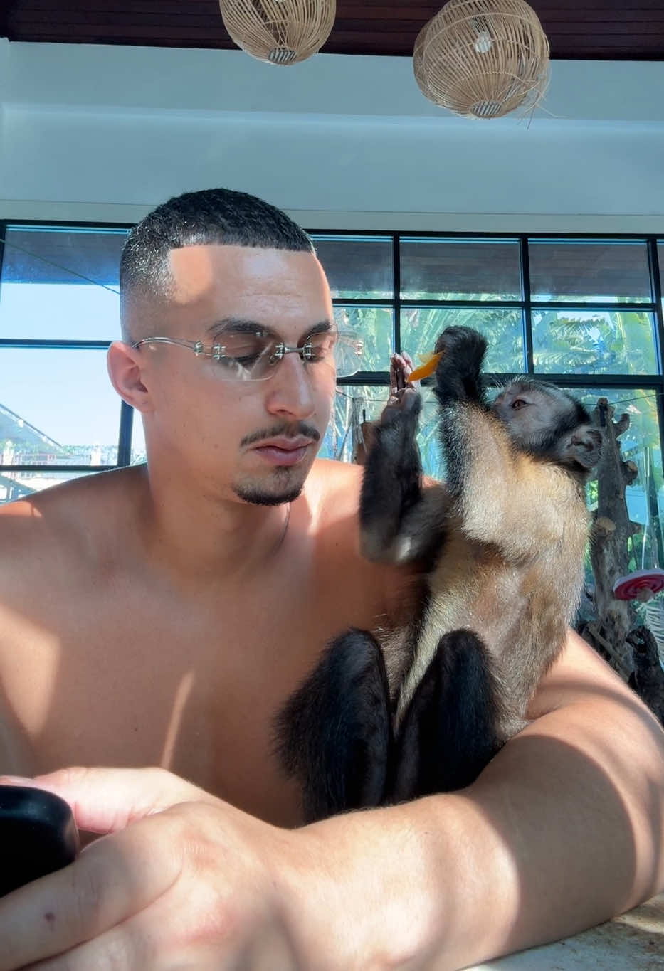 @Tarzane 🦍