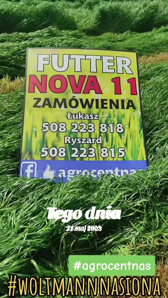 @WOLTMANNNASIONA